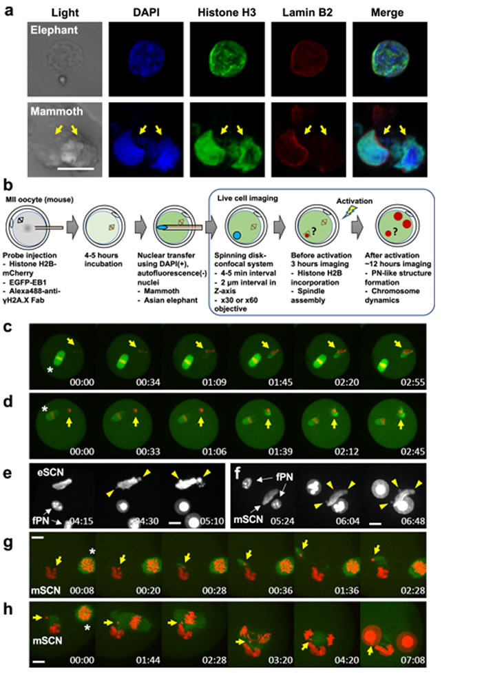 ͼƬ����Scientific Reports