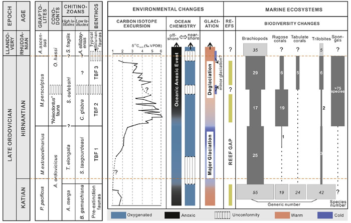 ȫ������ؽ׸߾����ۺϵز��ܼ�������������Ա仯