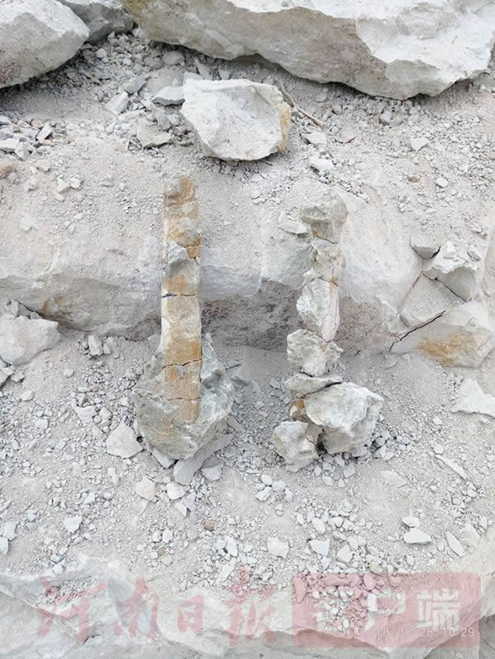 ����ʡ�ų����·��ֹ����ﻯʯ2000��� ��̽Ѱ��������Դ�����ش�����