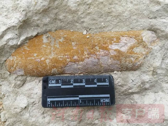 ����ʡ�ų����·��ֹ����ﻯʯ2000��� ��̽Ѱ��������Դ�����ش�����