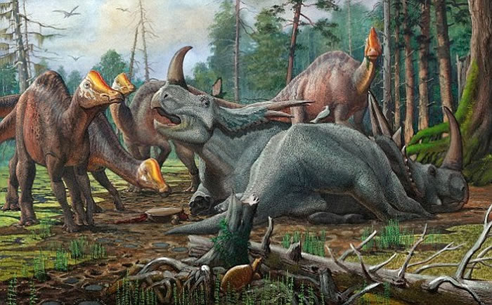 ���������ж����Ҳ��������һ��˯�߲�����