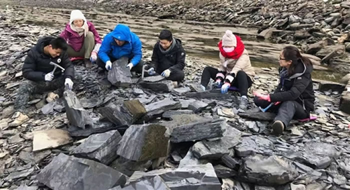 ���彭��ʯȺ��ַ���ھ�걾