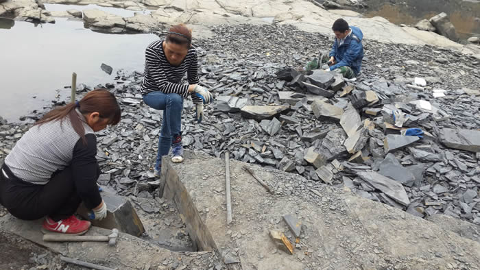 专题：中国宜昌长阳地区发现5.18亿年前寒武纪特异埋藏化石库“清江生物群”