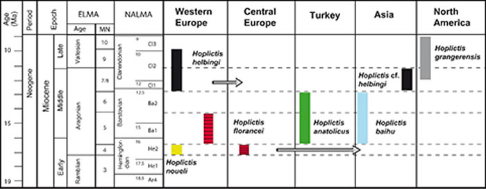 ��������ŷ�Ǳ�������ܵ�Ǩ����̣�������� ��ͼ��