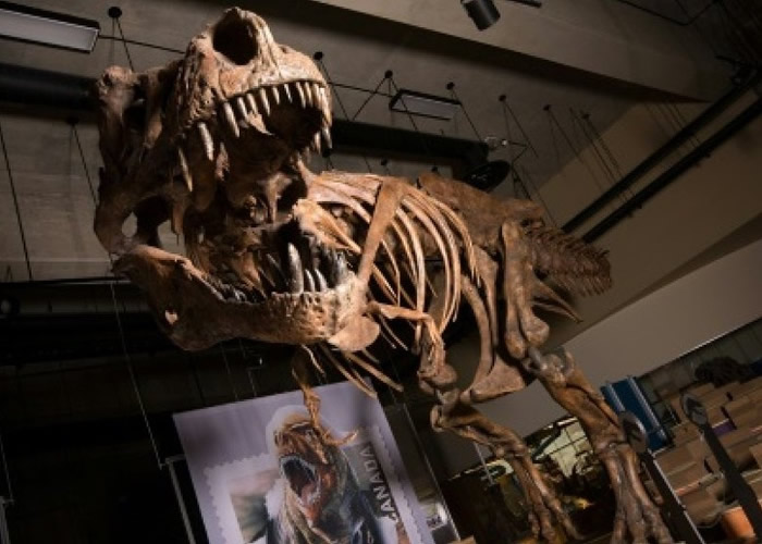 ��ֻ��ȡ��Ϊ��ʷ���ᡱ��Scotty���ı�������13�ף����ػ򳬹�8800���