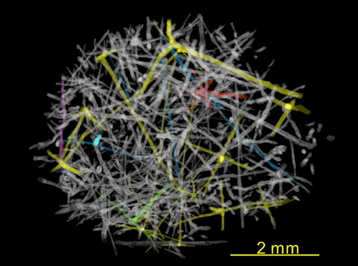 ���໯ʯ����ά�ṹ�ڶ�άƽ���ϵ�ͶӰ