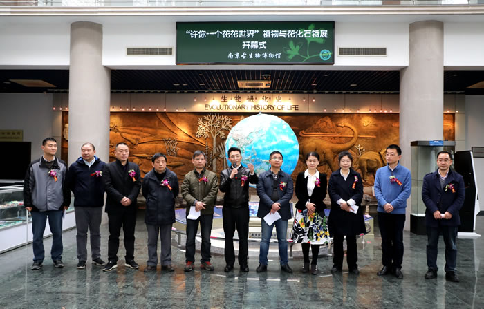 南京古生物博物馆举办“‘许你一个花花世界’植物与花化石特展”