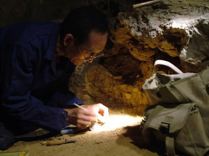 ������ѧ�һ��򲨣�����èͬ��65�� 87����Բ��