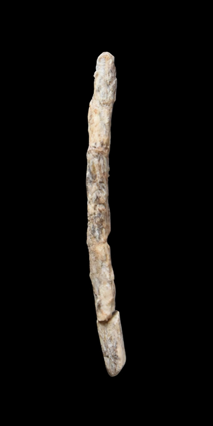 �㶫Ӣ��������ַ��ѡ��2018���ȫ��ʮ�󿼹��·��֡�