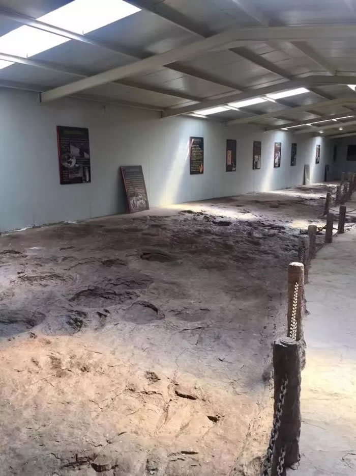 �������Ŀ��������ɹ�����˶������ܣ�