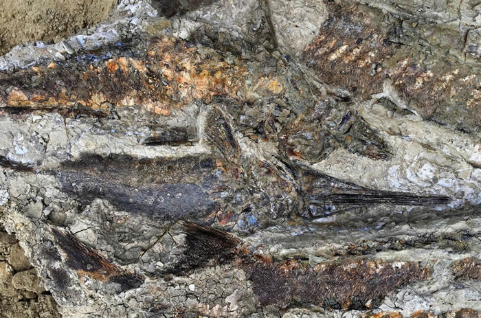 ������������ݡ�����Ϫ�ز㡱������˹����ʯ��ַ��ĸ�� ����С����ײ����˲��