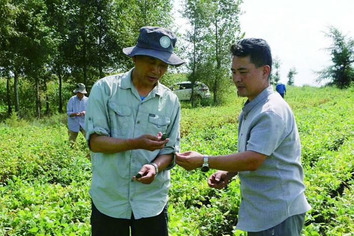 ½�鴨���ң��ڻ��﹵�ذ���Ѱ����