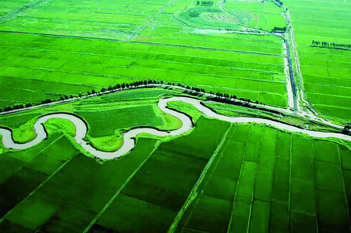 ���﹵ȫ��