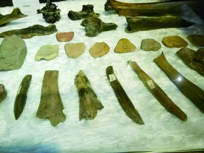 У԰���������е�չƷ