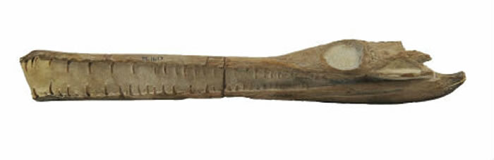 Զ��ˮ������ι�����Ե��ݱ�