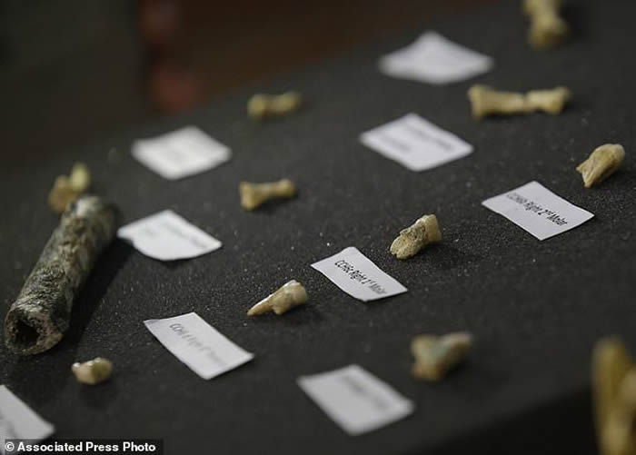 菲律宾吕宋岛发现全新古人类物种“吕宋人”（Homo luzonensis）