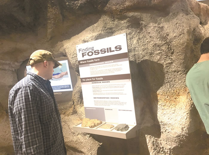 ������Ȼ��ʷ����ݾٰ조�����ﻯʯ����ʡ�ר��չ