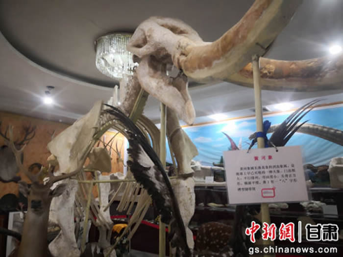 ̽�ø���������־�Ƶġ��ƺ���˽�˲����