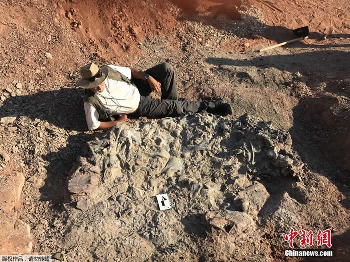 ����͢����Ischigualasto���ҹ�԰����2.2����ǰ������Ĺ�ء�