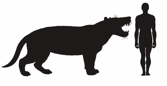 ͼ����Simbakubwa kutokaafrika��һλ�����˵����ζԱ�