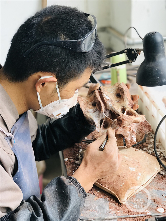 ������ʯҽ������Ρ����������