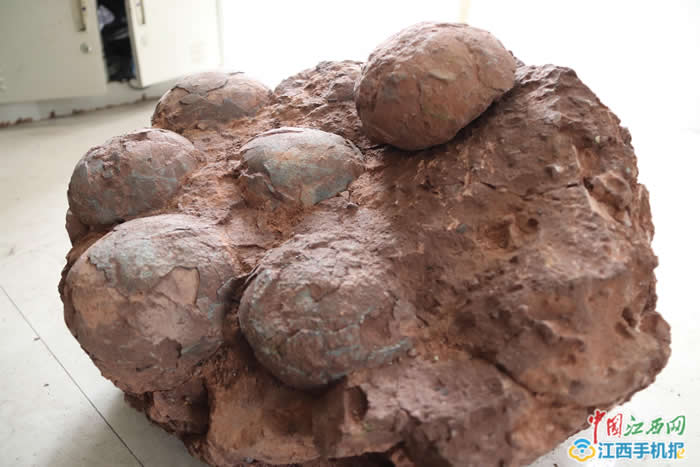 ����Ƽ�羭��������ѧ����һ�������з�����ö���Ѽ����ڿ�������ʯ