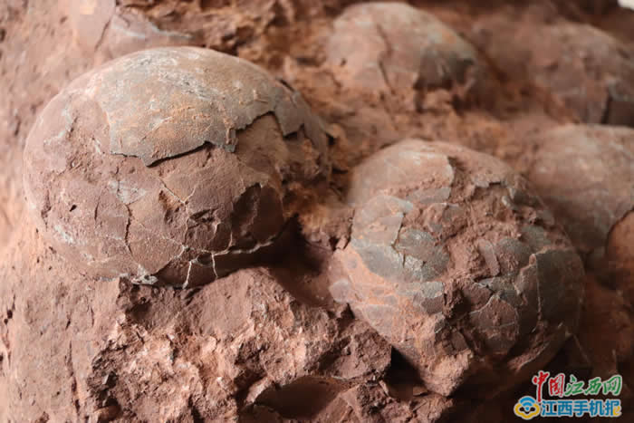 ����Ƽ�羭��������ѧ����һ�������з�����ö���Ѽ����ڿ�������ʯ