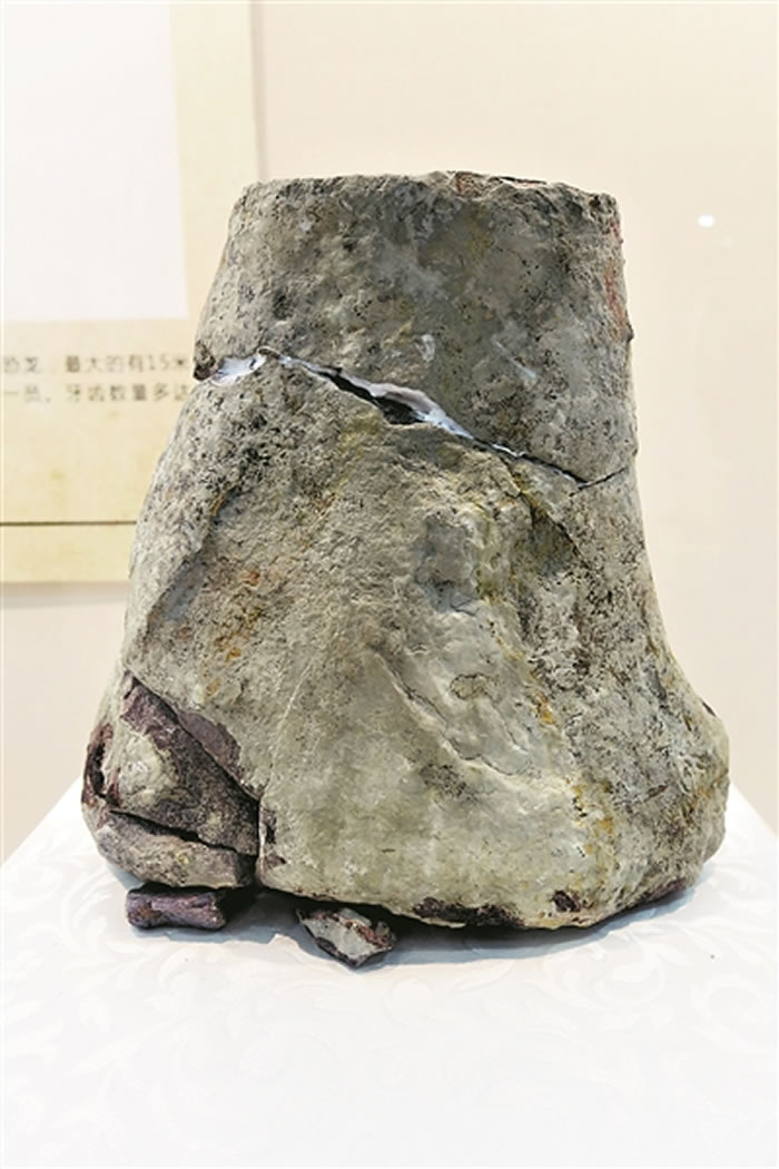 ��ǰ�������������ġ����ش��ͷ������ר�Ҽ���Ϊ����֫�ǻ�ʯ