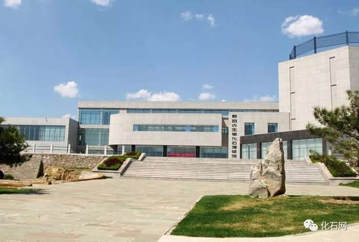 570��������������ﻯʯ���������������ﻯʯ�����չ��