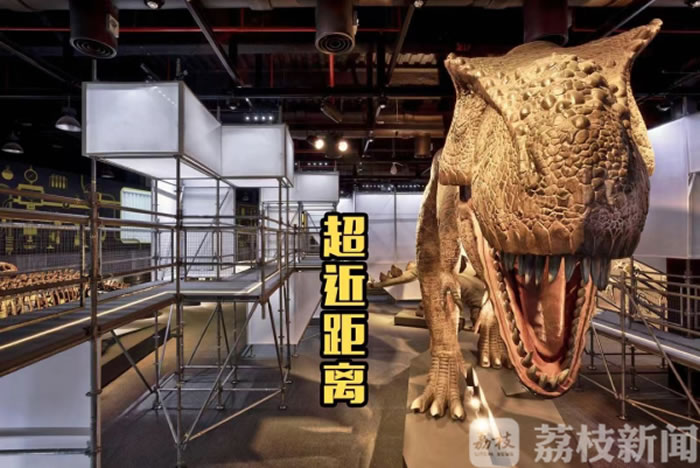 ��������100%�Ĵ�IPչ#DinoLab����ʵ���ҵ�½�Ͼ�������ҵ�µر껪�����