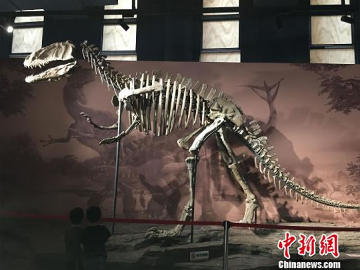 ������ʯ�źͿ�������ʽ���⿪�� չ��������ʯ100��