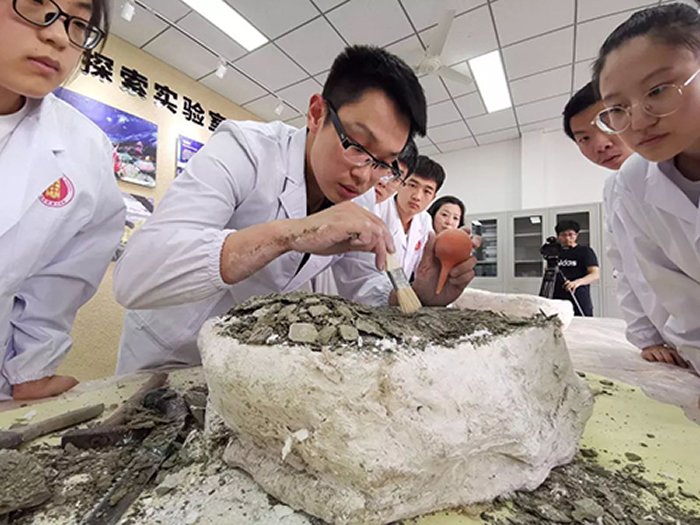 �����׼�ѧ����ʯ�޸������仧�����е�ʮ��ѧ