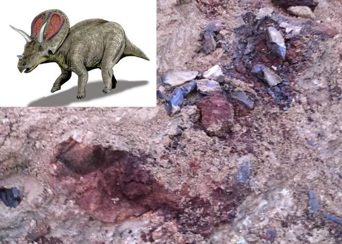 �������������ݵ����й���������ϡ�е��нǿ�����ʯ �����ǰ���һ����