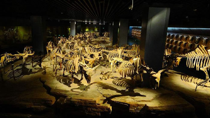 ���첩���������Ϊֹ���ڷ��ֵ�����������������ʯ�Ǽ�