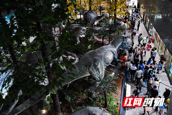 ¿ŵĺʡʲӭ׸һͯ ھš٪޼͹԰