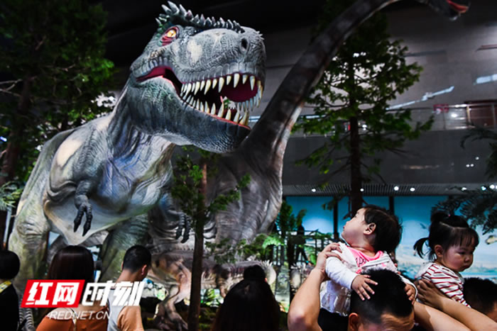 ¿ŵĺʡʲӭ׸һͯ ھš٪޼͹԰