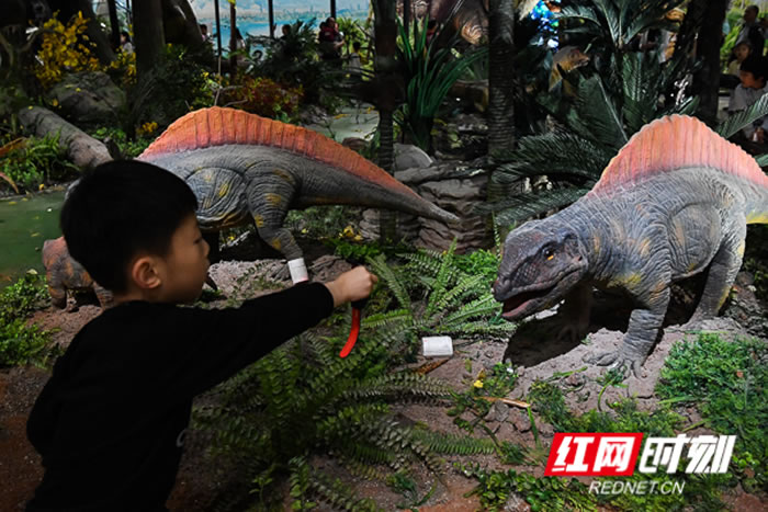 ¿ŵĺʡʲӭ׸һͯ ھš٪޼͹԰