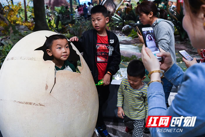 ¿ŵĺʡʲӭ׸һͯ ھš٪޼͹԰