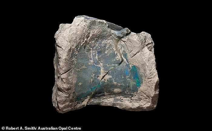 �Ĵ����Ǳ�ʯ����żȻ���ֿ���������Fostoria dhimbangunmal