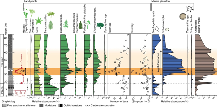 图1.英国约克郡T-OAE期陆地植物和海洋生物记录。橘色条带为气候极热期;浅绿色及深绿色图谱分别为各类孢子和花粉丰度变化;蓝色及棕色图谱分别为各类海洋浮游生物及