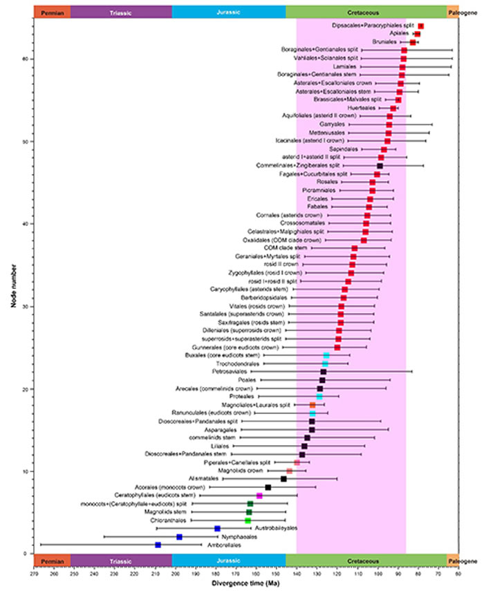 ����ֲ��Ŀ��Ŀ�����Ϸ�֧�ֻ�ʱ�����