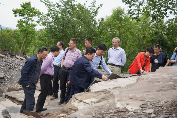 ����Ͽ���Ͽ�������Ⱥ���ֳ����ֻ��ں����˲�����