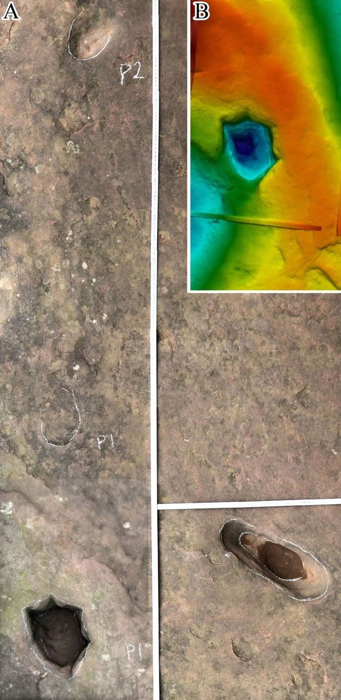 �����Т�򻢴����ġ���צӡ���͡����㼣�������Ͻ�Ϊ��ά����ġ���צӡ������Ӱ/�����