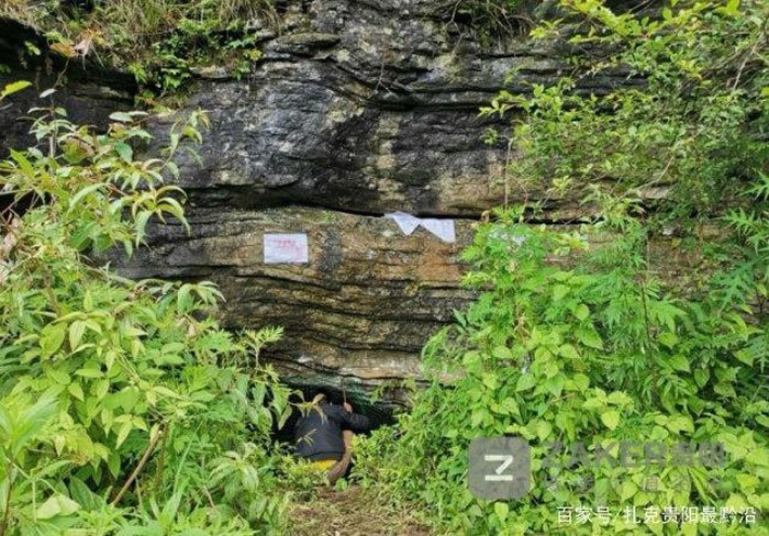 ����ʡ�Ͻ�����Ӻ�ش���������10��20����ǰ���鶯�ﻯʯ