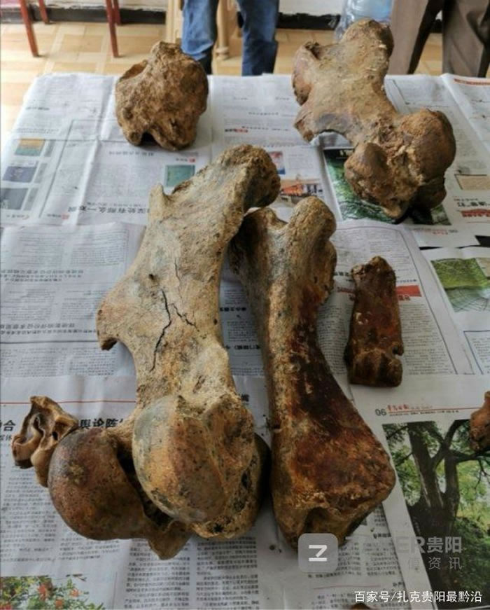 ����ʡ�Ͻ�����Ӻ�ش���������10��20����ǰ���鶯�ﻯʯ