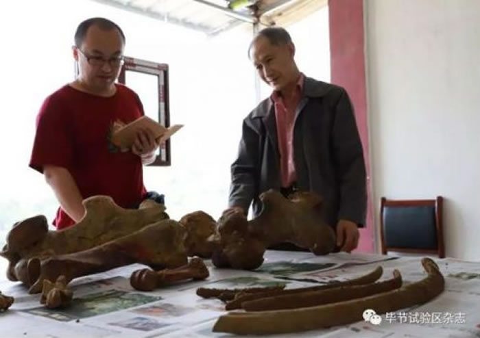 ����ʡ�Ͻ�����Ӻ�ش���������10��20����ǰ���鶯�ﻯʯ