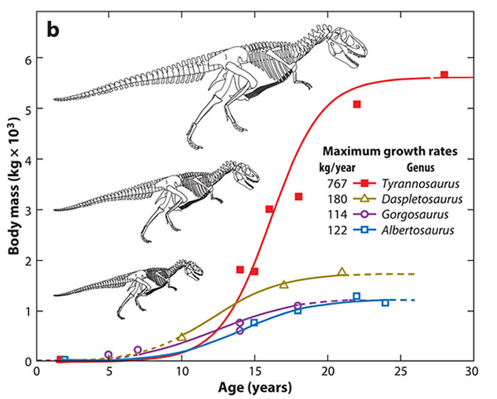 �׿�˹�������;޴��ԭ����Ҫ����Ϊ�������������������������졣 Erickson et.al 2014