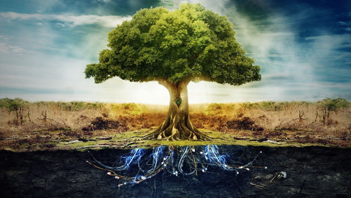 ���ַ���ʱ�����һֱ������֮����Tree of Life��������ʷ�о��о���ս�Ե��ȵ㹤��