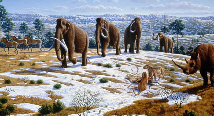 ��ѧ�ҷ����������󸴻�ʱ������ĵط���������˹��������