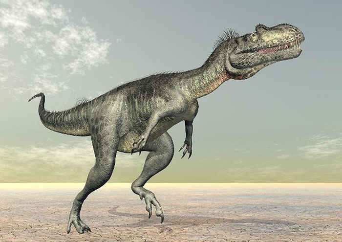 �й���ѧ������������й��Ƽ����������조�������й�������չ��